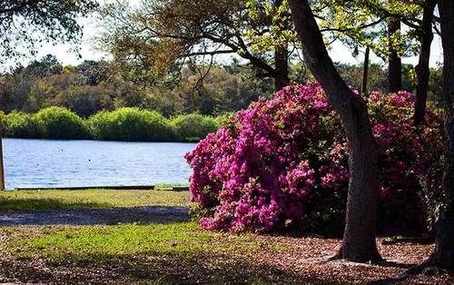 Twin Lakes Camp Resort DeFuniak Springs Exterior foto